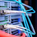 Detailed shot of Ethernet cables connected to server ports highlighting technology infrastructure.